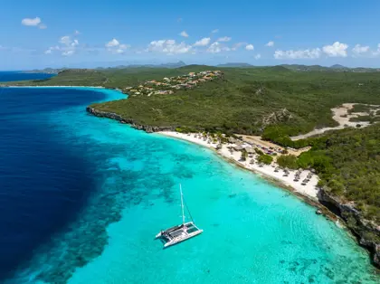 Blue_Finn_West_Coast_3